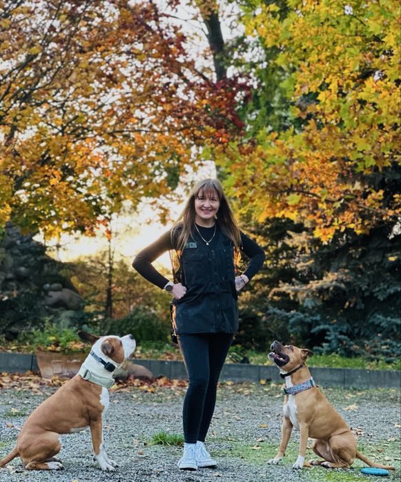 Hotel dla psów, szkolenia, konsultacje behawioralne - Częstochowa