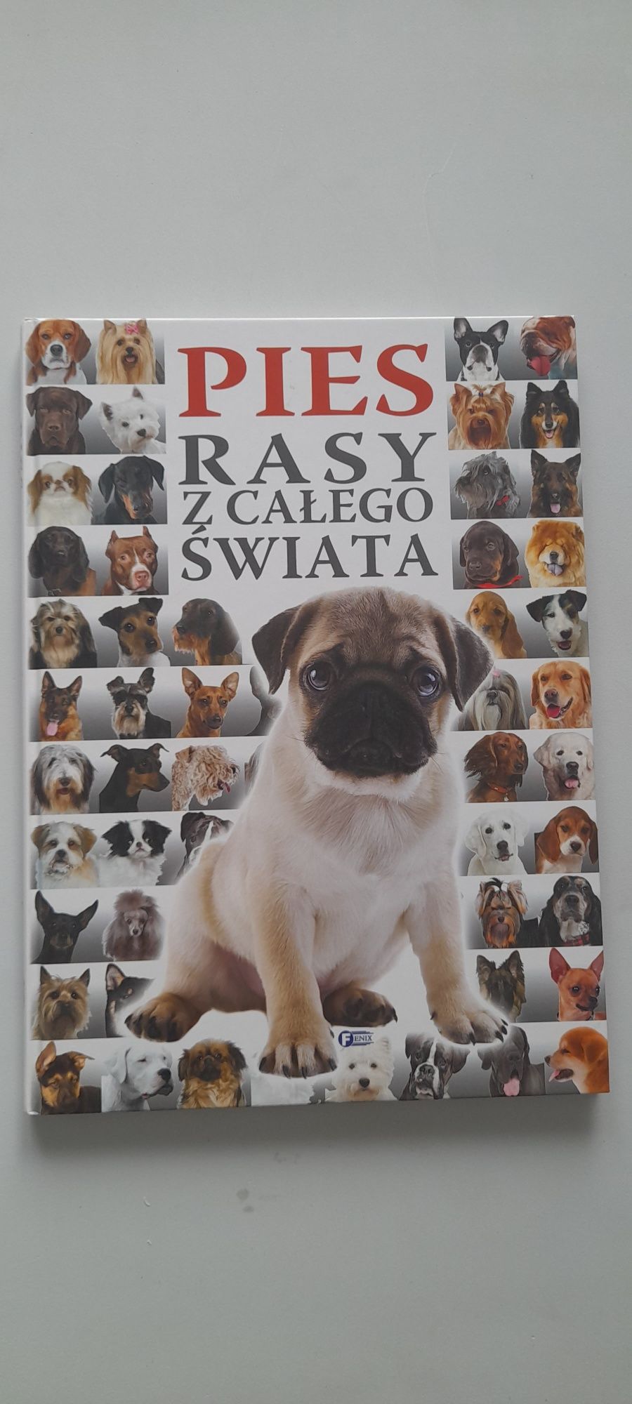 Pies rasy z całego świata.