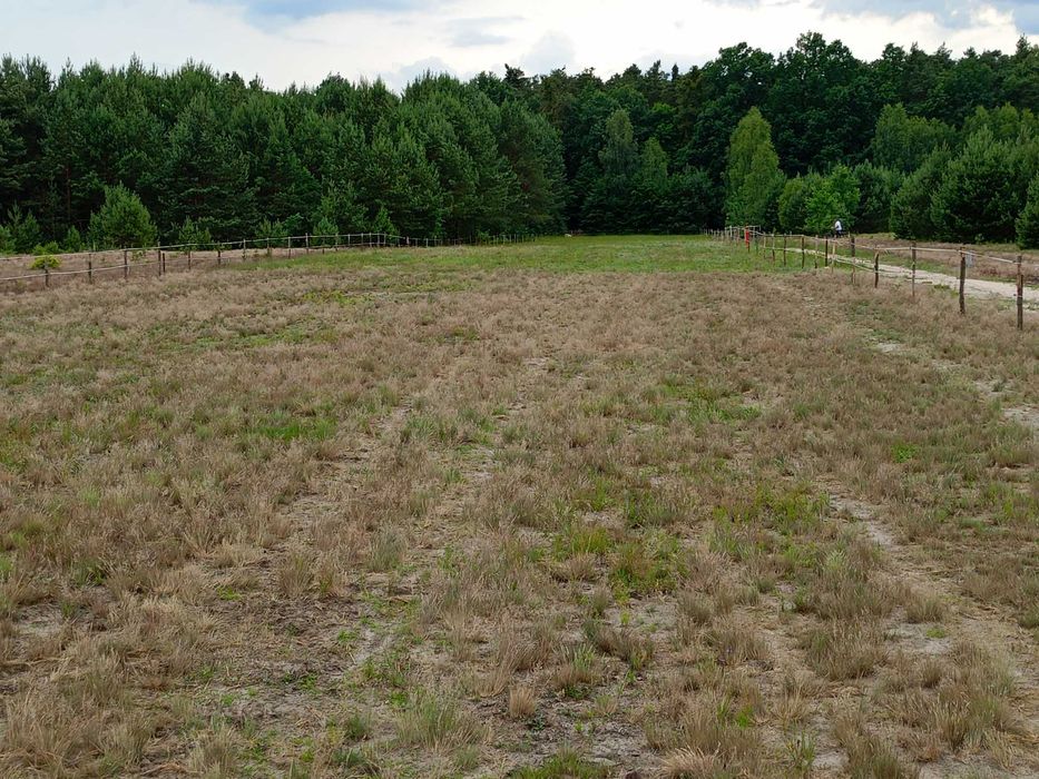 Sprzedam działke budowlaną