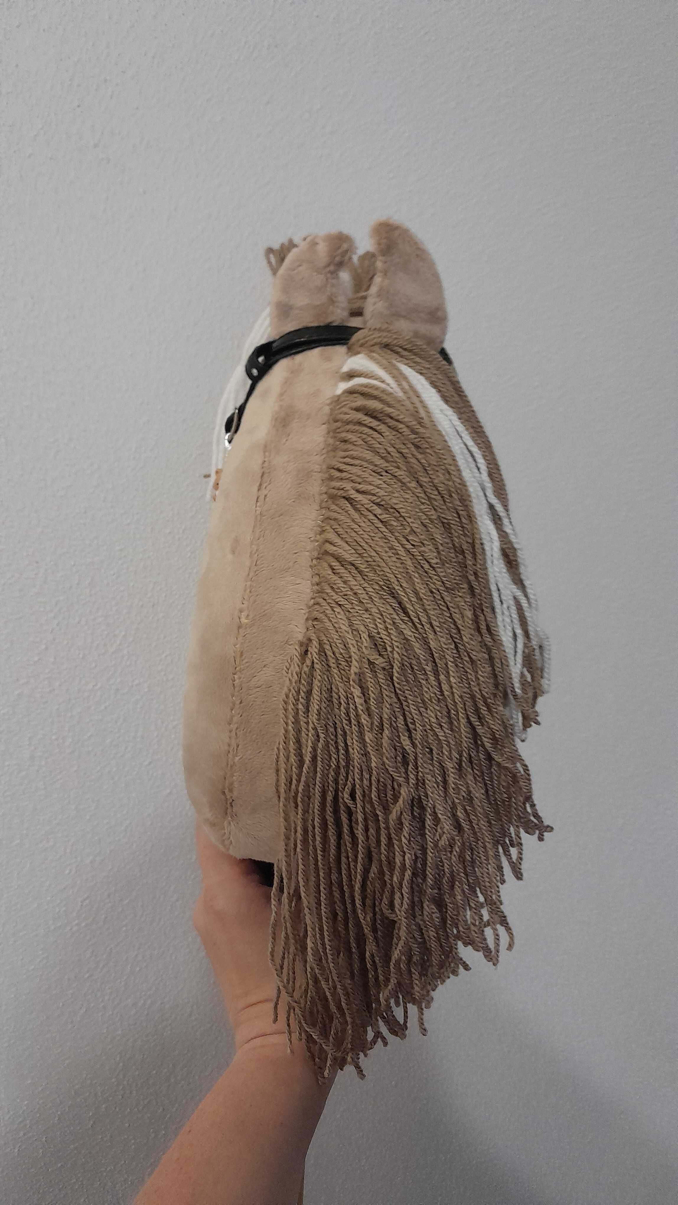 Hobby horse konik