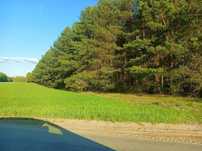 Sprzedam las 3,26 ha Gąsocin