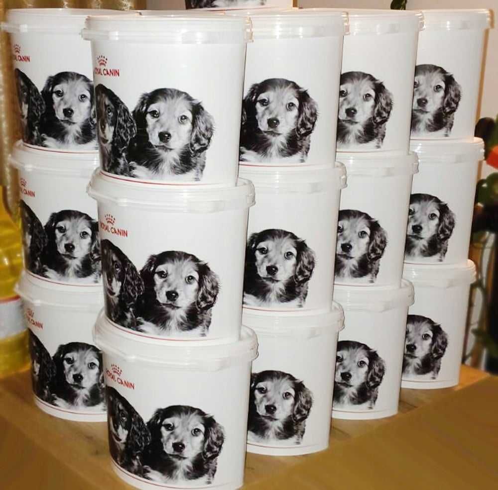 Wyprawka dla szczenię mini puppy junior ROYAL CANIN +książeczka gratis