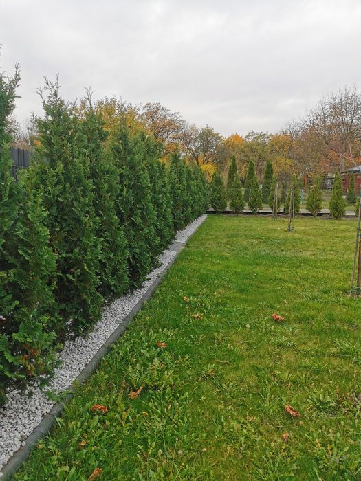 Ogródek działkowy ul. Hagera