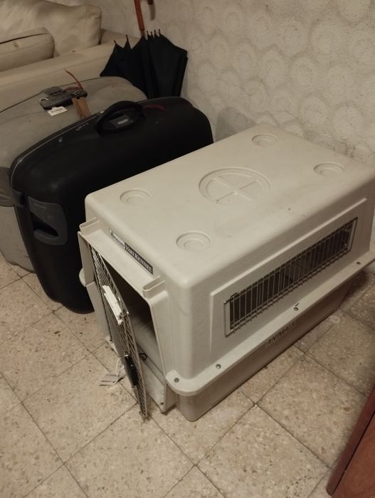 Caixa de transporte viagem, animal