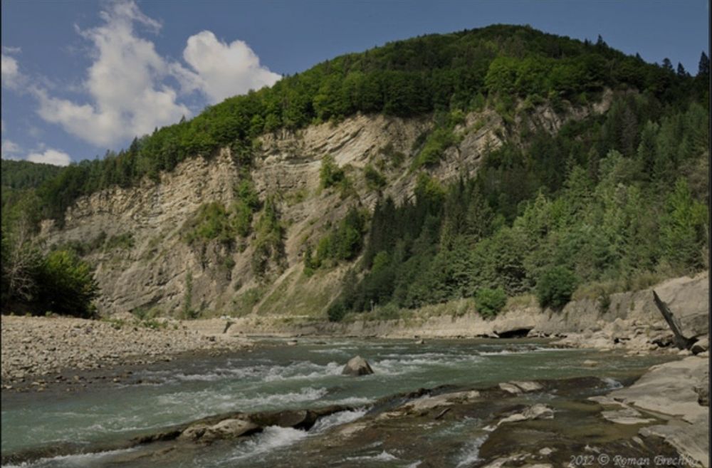 Будинок в Карпатах