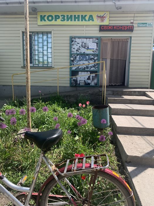 Продуктовий магазин+ приміщення + обладнання + сонячна електростанція