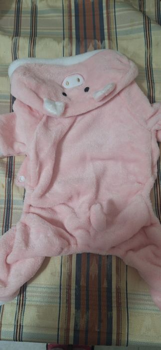 Roupa para cadela nova