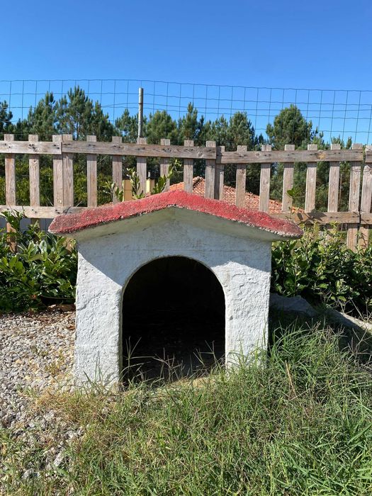 Casota Cão Porte Médio - Grande Cimento