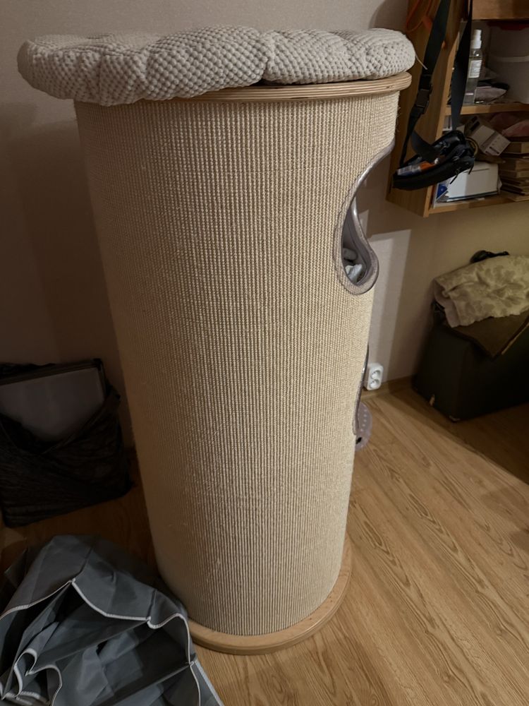 Drapak Rufi tuba