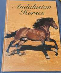 Książka Andalusian Horses