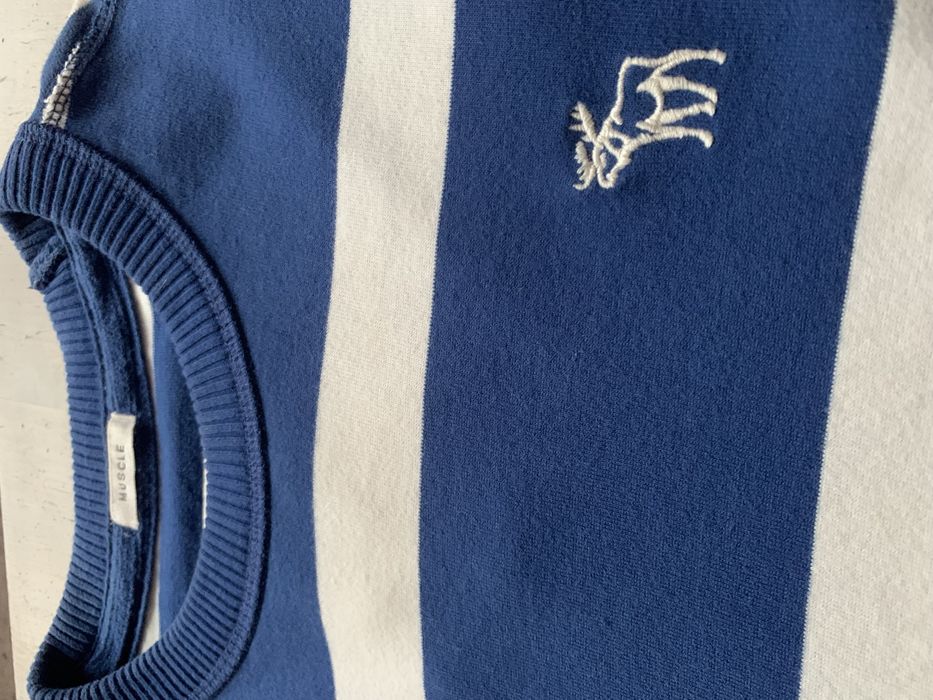 Bluza Abercrombie & Fitch z USA (opis)