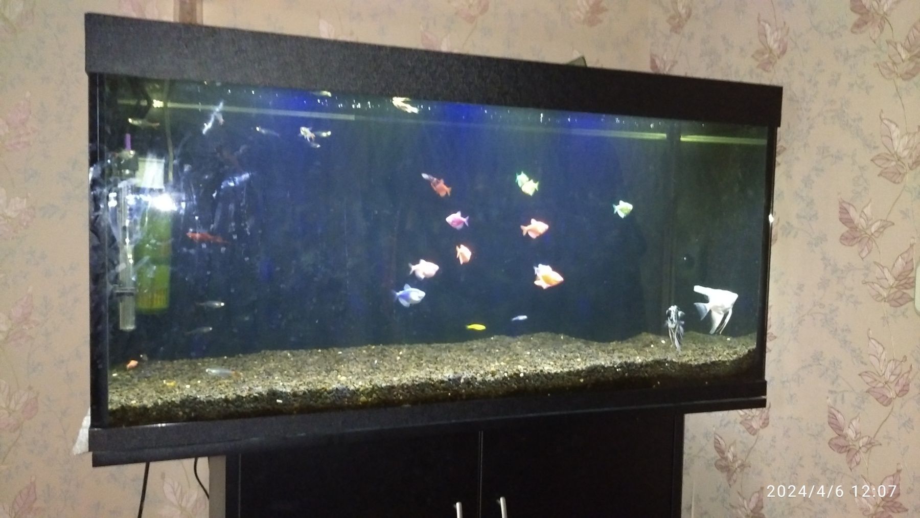 Продам аквариум на 200 л с оборудованием полностью, можно с рыбами