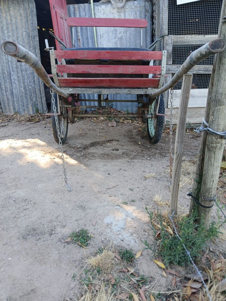 Vendo mini carroça para pónei com arreio e cabecada