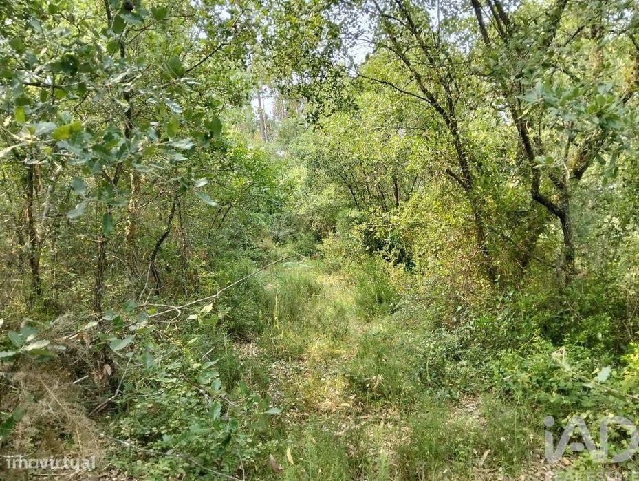 Terreno em Chãos de 1480,00 m2