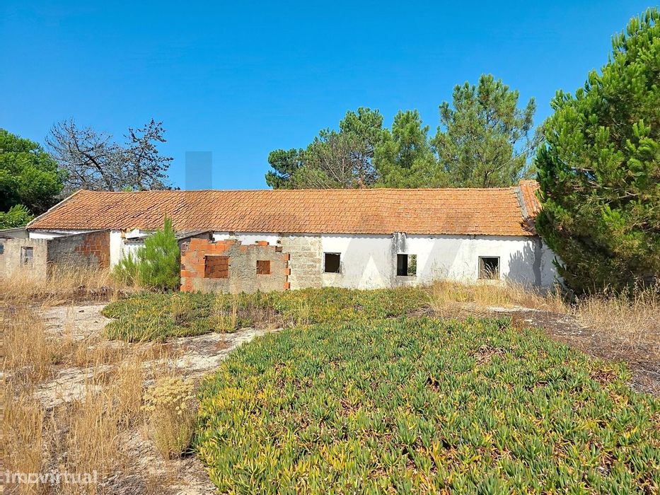 Moradias para transformar em Grândola, Carvalhal, Pinheiro da Cruz em