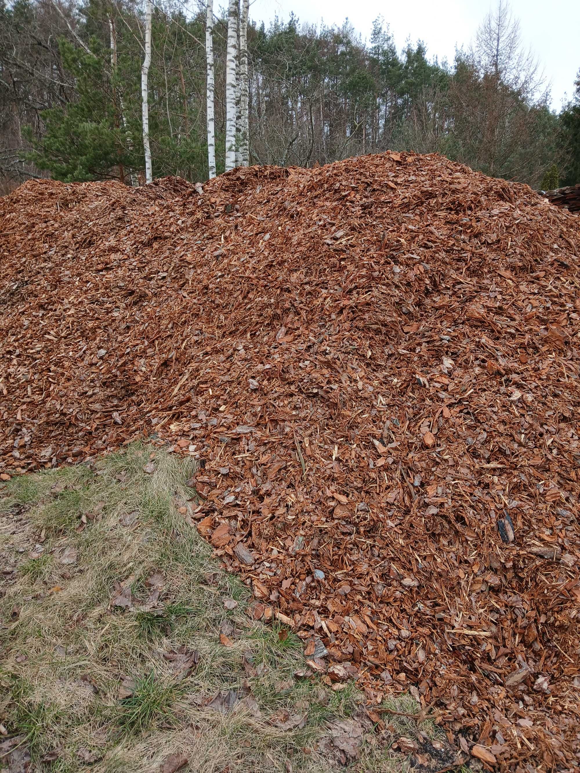 Kora ogrodowa iglasta