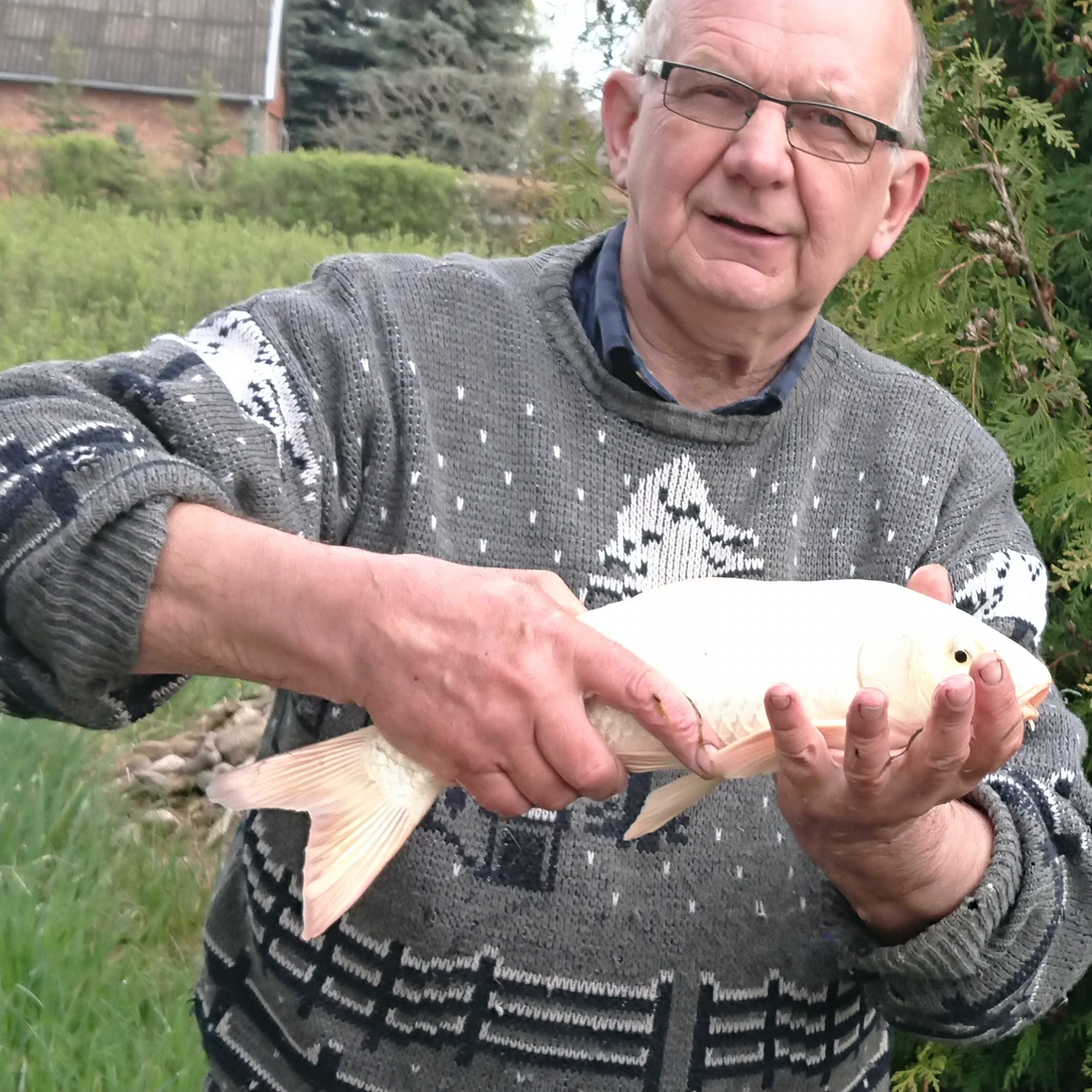 Rybki do oczka wodnego .Karaś ozdobny ,Karp Koi