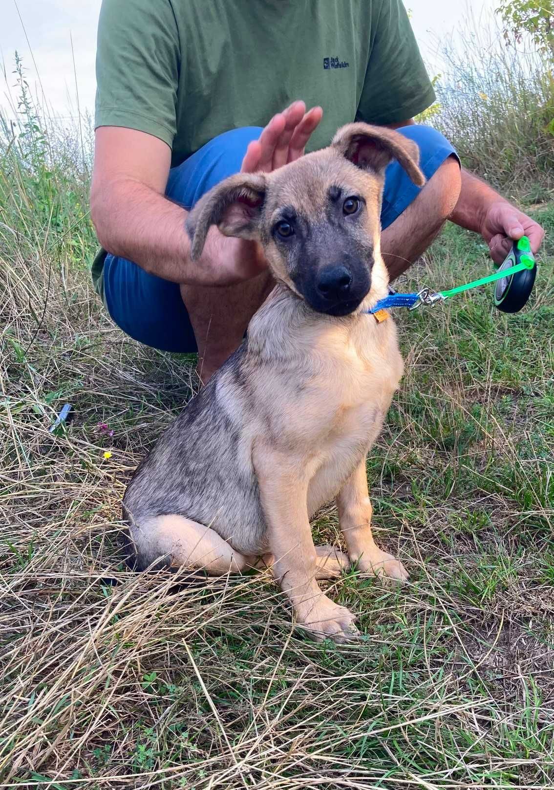 Красивий хлопчик, 5 міс