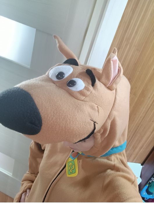 Аренда для праздника Скуби-ду