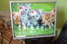 MONITOR LG 19 cali,D-SUB (VGA) z przewodami w komplecie.