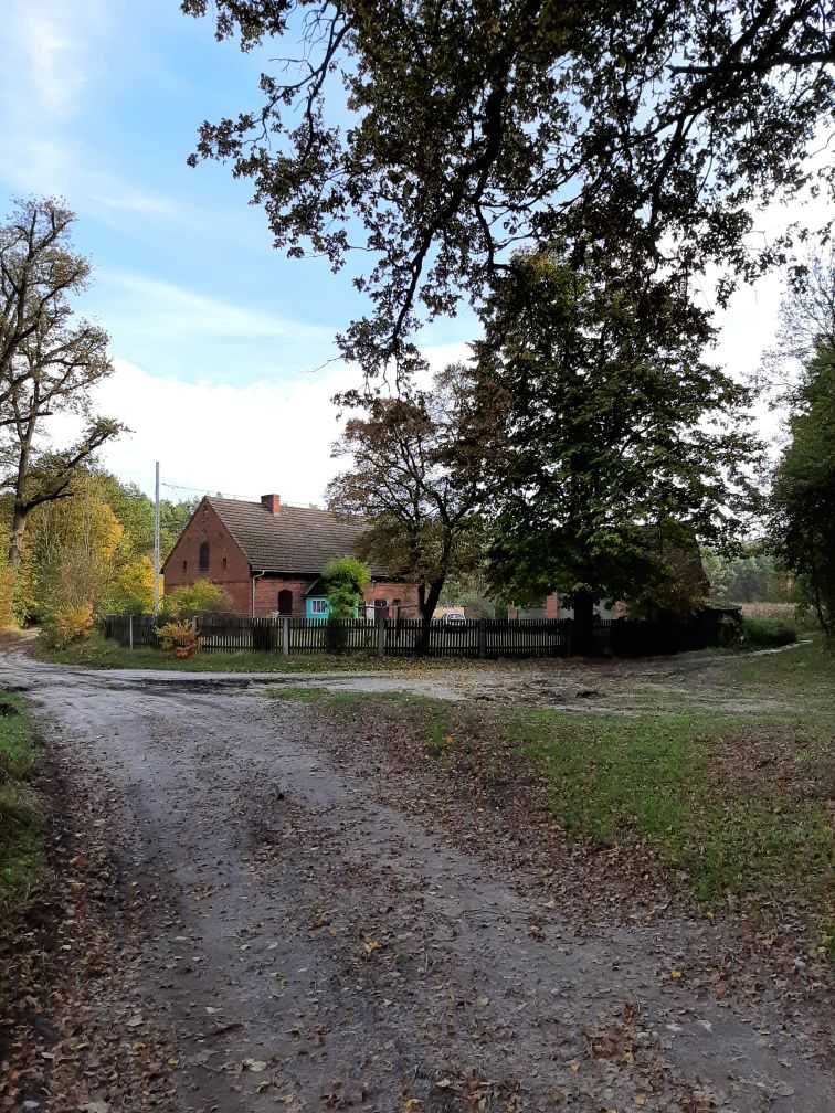 Siedlisko z lasem i działką 2,4ha Opole Wrocław dobry dojazd ,