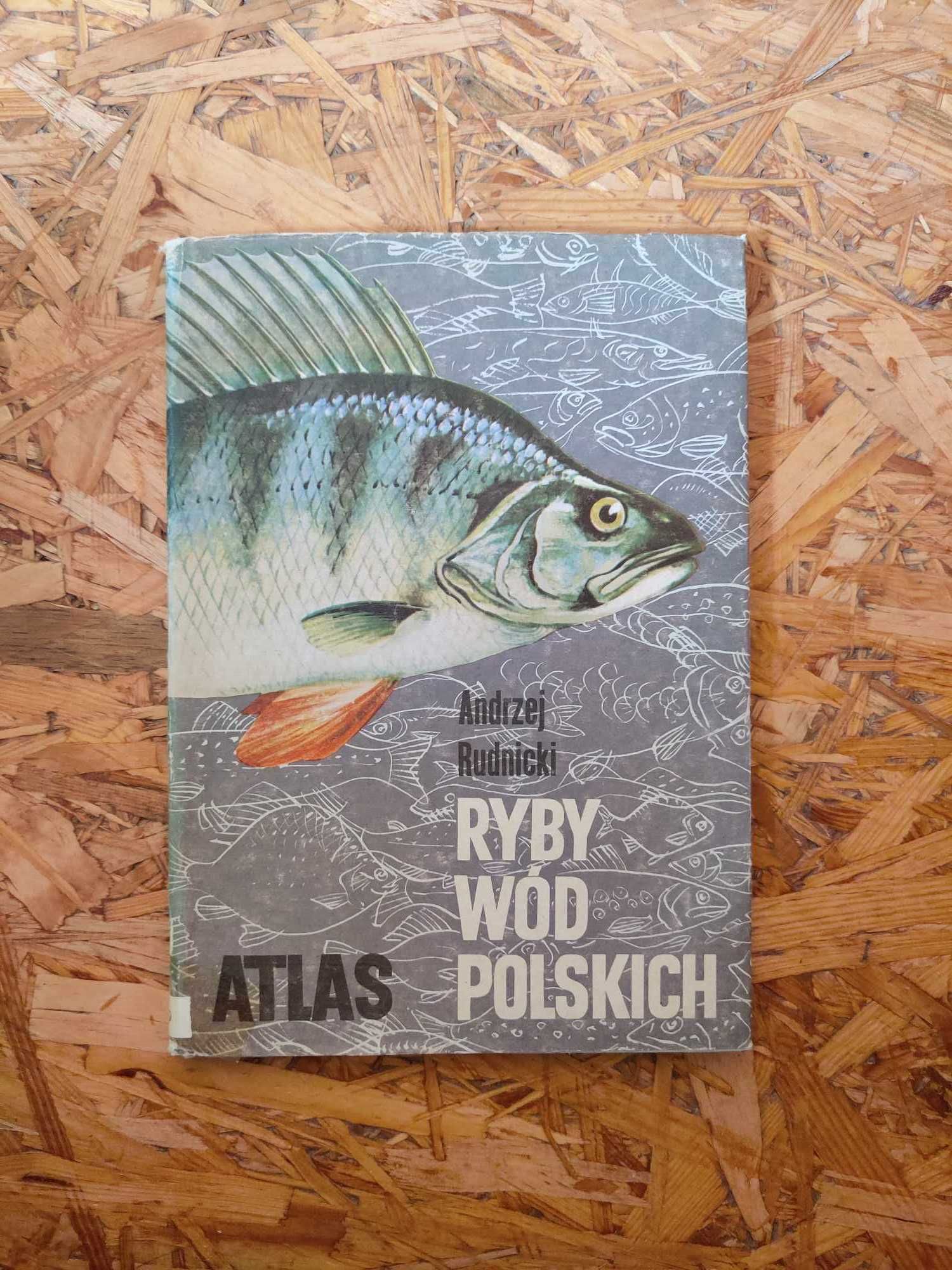 Ryby wód polskich. Atlas.  Andrzej Rudnicki.