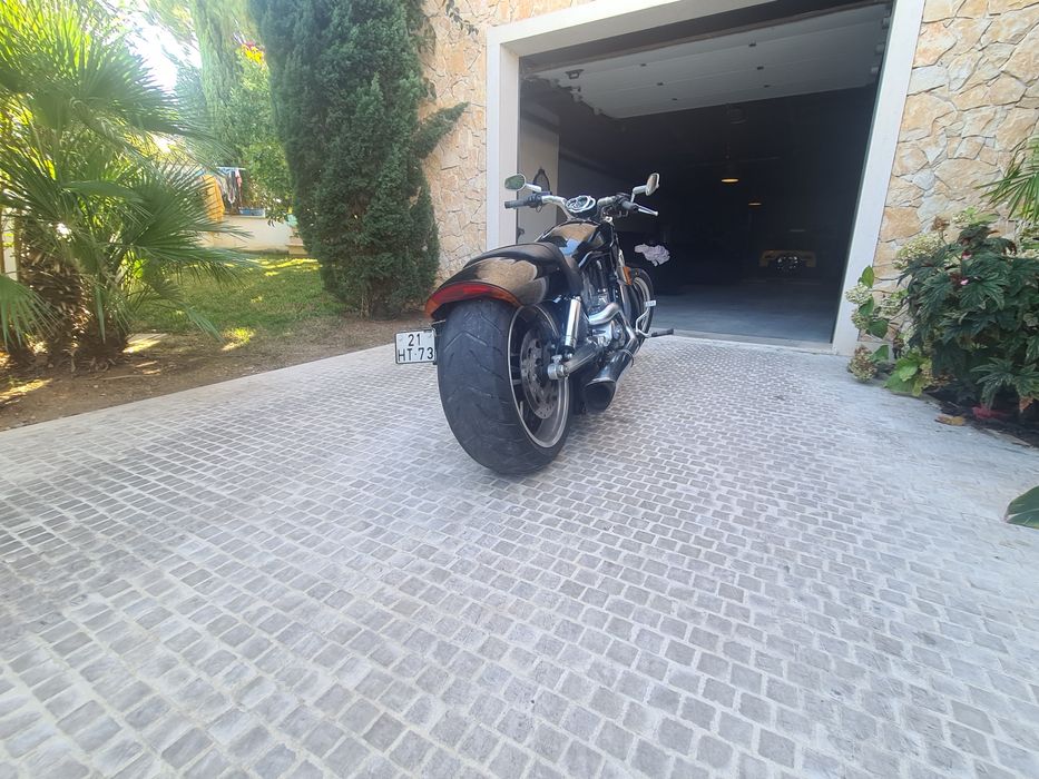 Harley Davidson V Road Muscle