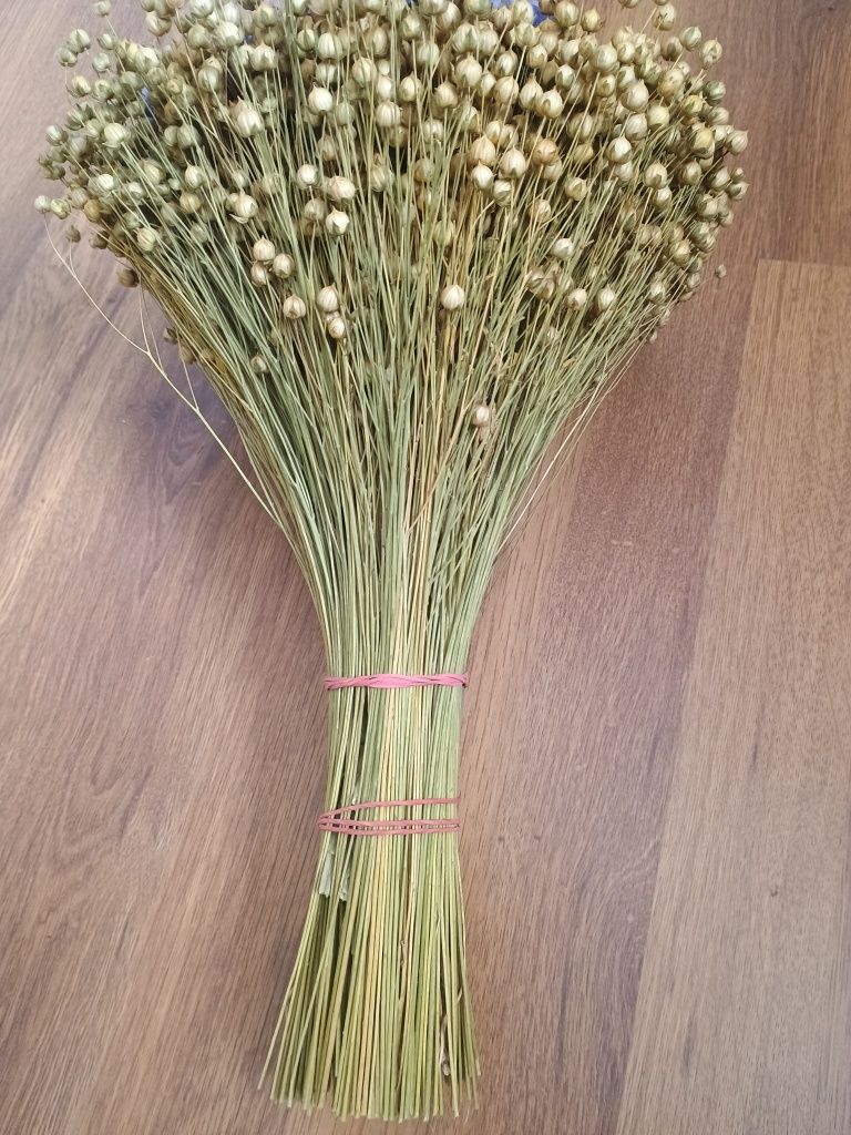 Bukiet z kwiatów suszonych zatrwian, len, suchokwiat, mruna