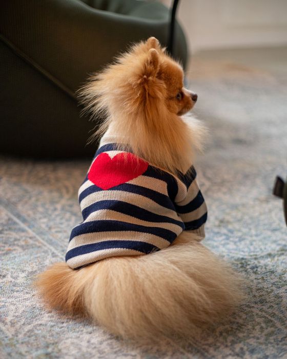 Одяг для собак опт, одяг для тварин оптом, одежда для собак