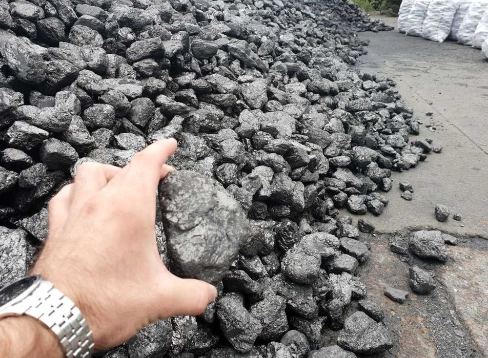 Вугілля, Пелети та брикети PINI KAY, RUF, NESTRO для дому та бізнесу