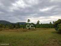 Terreno com 54.809m2 em Vila Nova de Poiares.