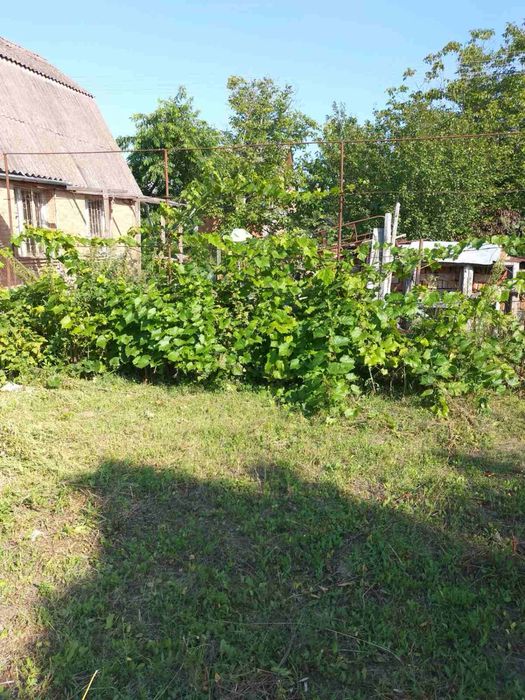 Продам дачний будинок с.Сальник