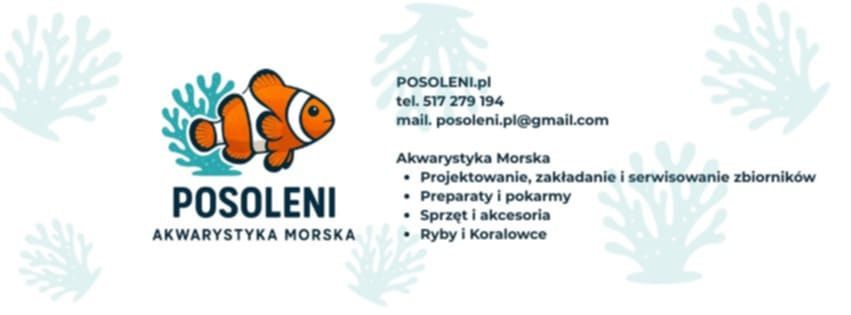 Zakładanie i prowadzenie akwarium