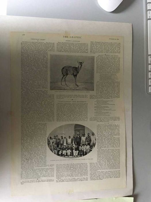 Litografia do Sec.XIX (1890)