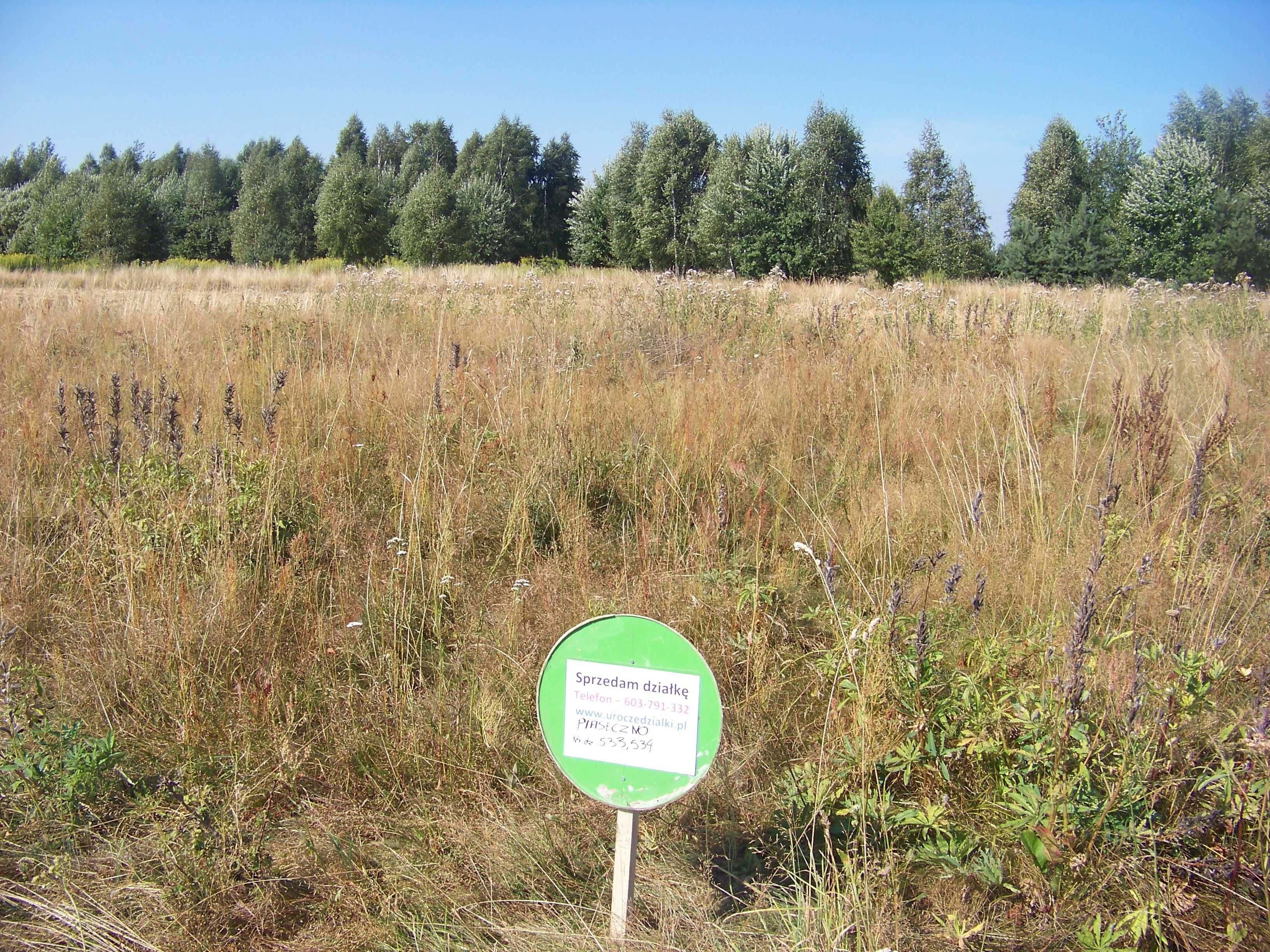 Działki pod lasem