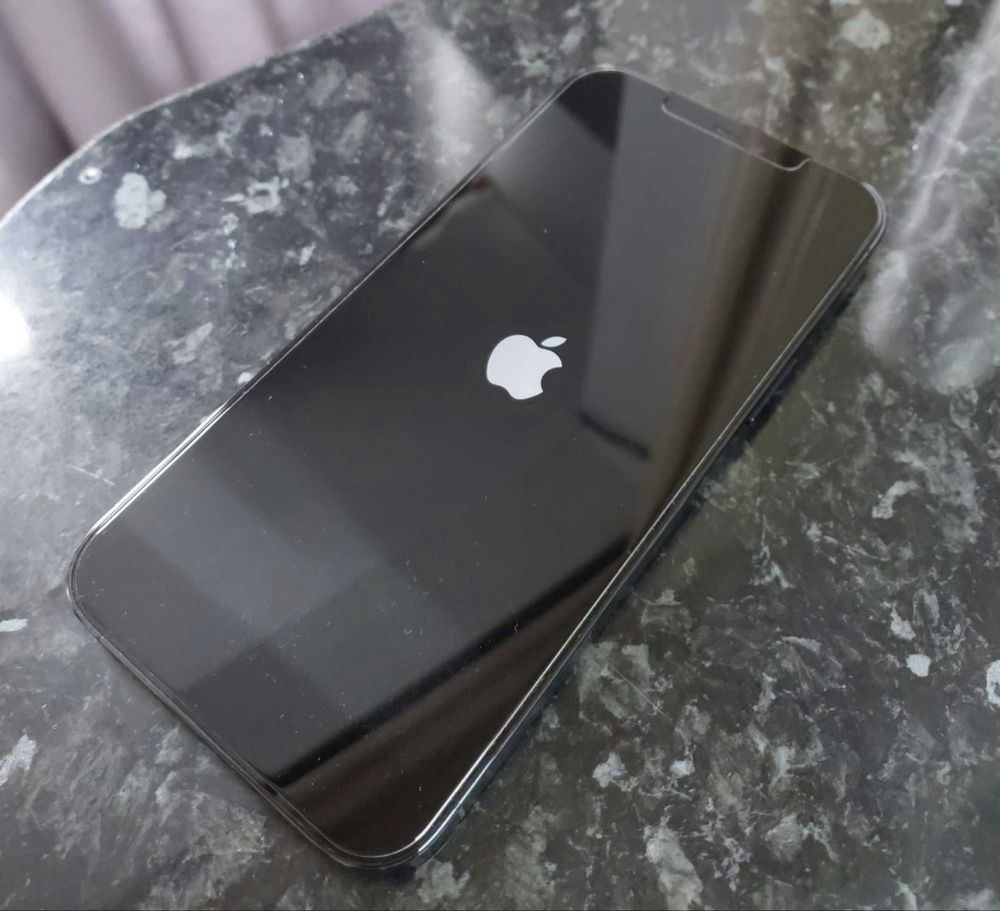 Iphone 12 Pro Max
