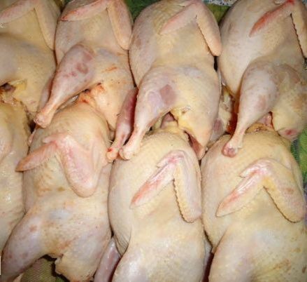Перепілка, яйця, інкубаційне яйце, м'ясо перепілки