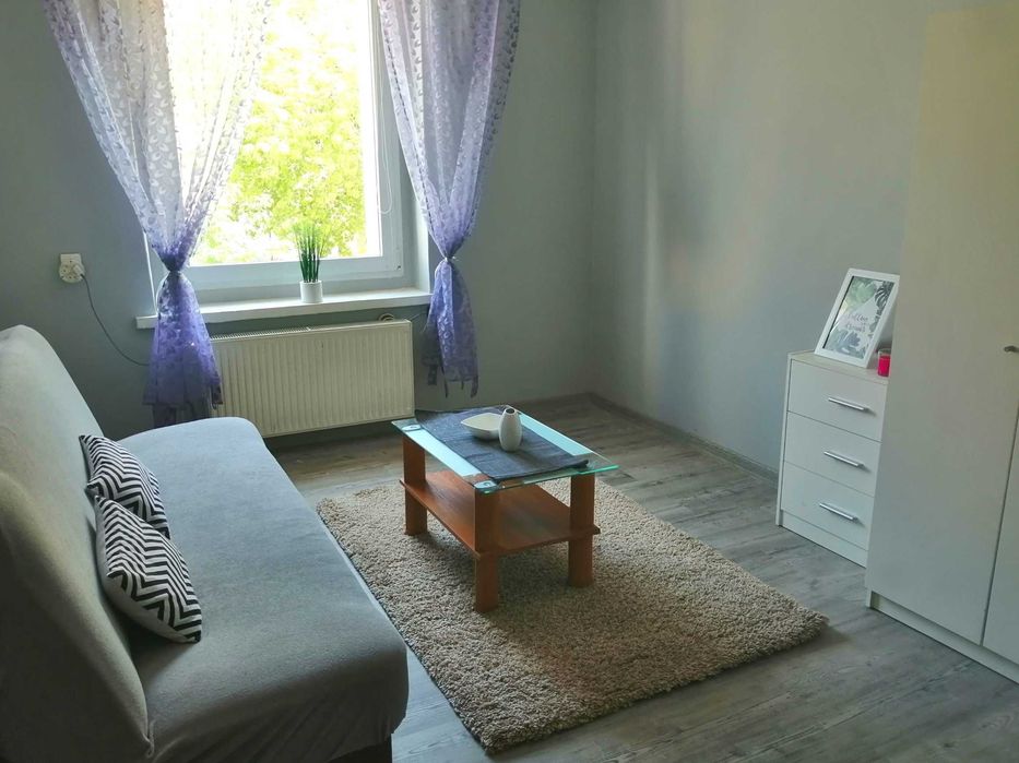 Kawalerka do wynajęcia - centrum