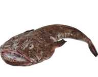Peixe congelado