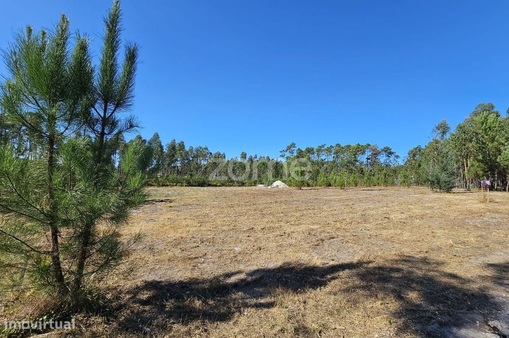 Terreno com 3831m² em Varziela, Cantanhede