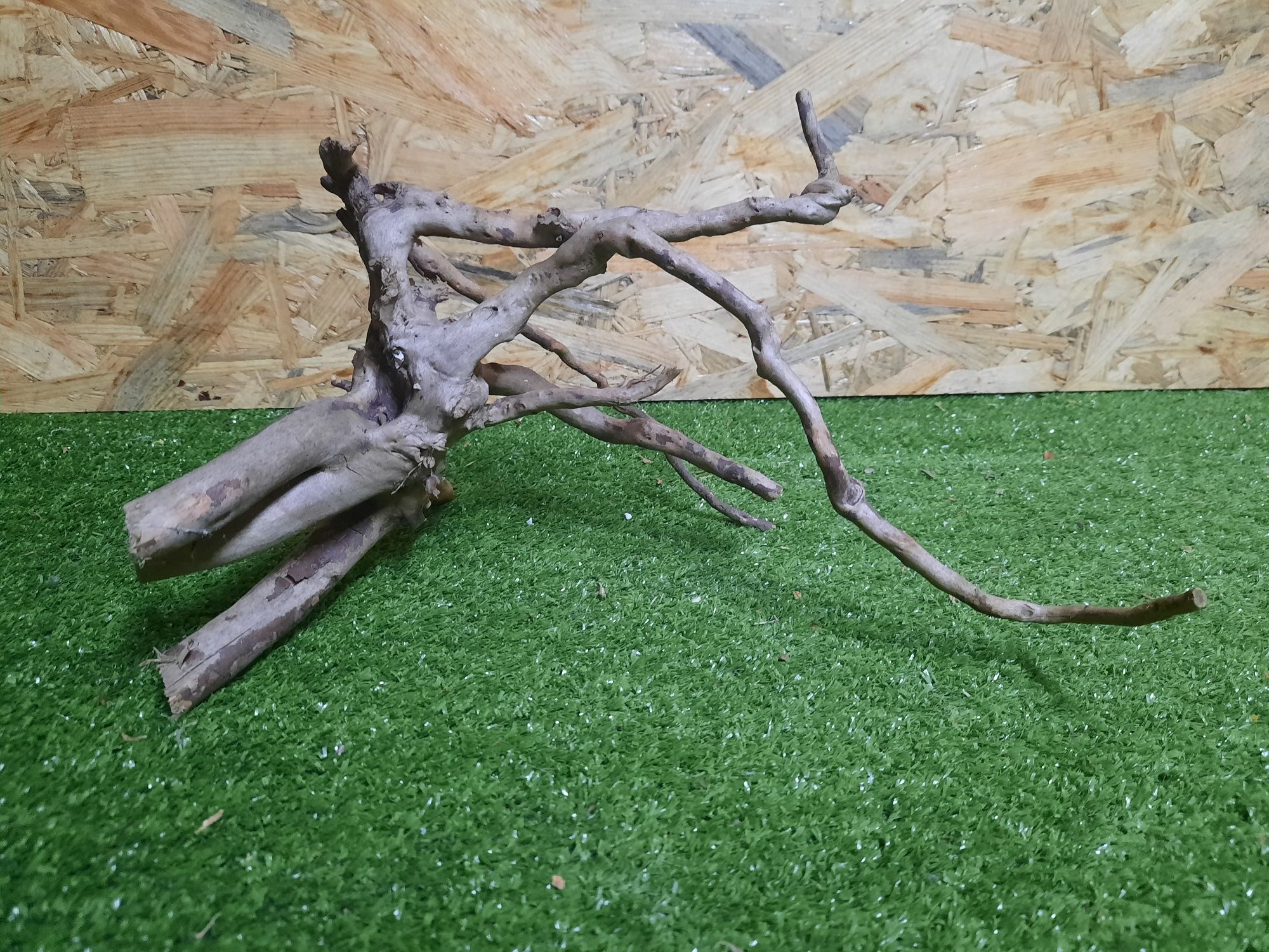 Korzeń do akwarium Red Moore Wood nr 921 o wymiarach 30/18/17
