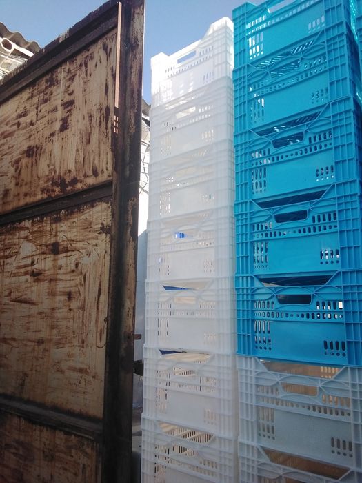 Ящики пластиковые пищевые