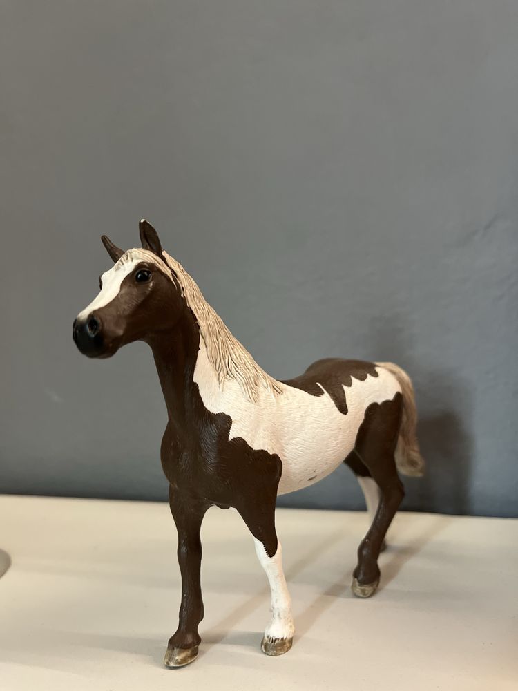 koniki schleich