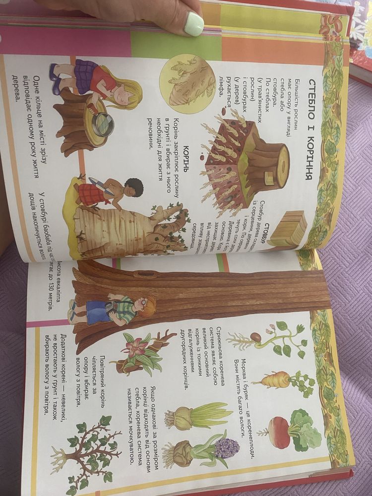 Книжка Я і світ довкола мене