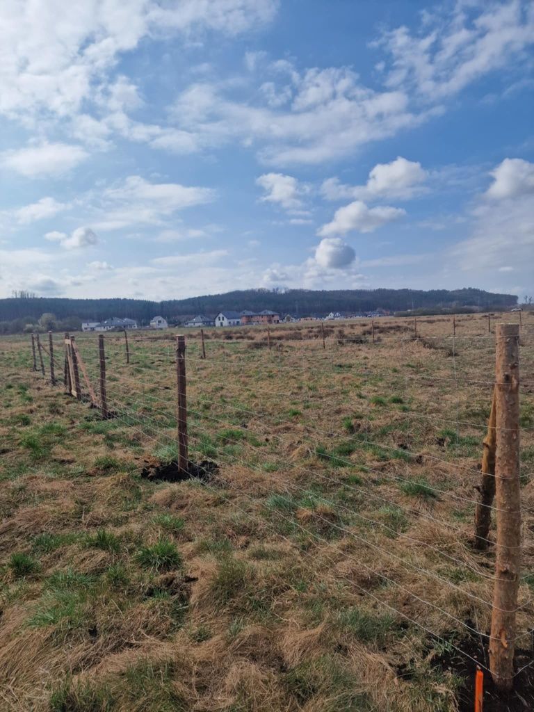 Ogrodzenie Lesne Tymczasowe Budowlane ranczo materiał