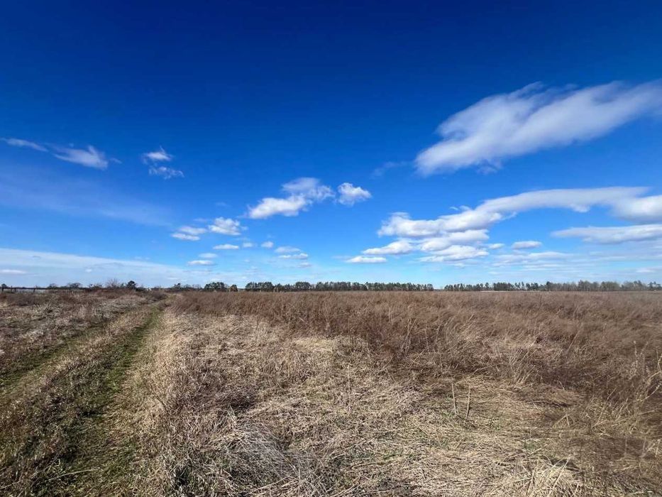 Продаж земельної ділянки 1,46га (ОСГ). Терміново! ТОРГ! ID:679