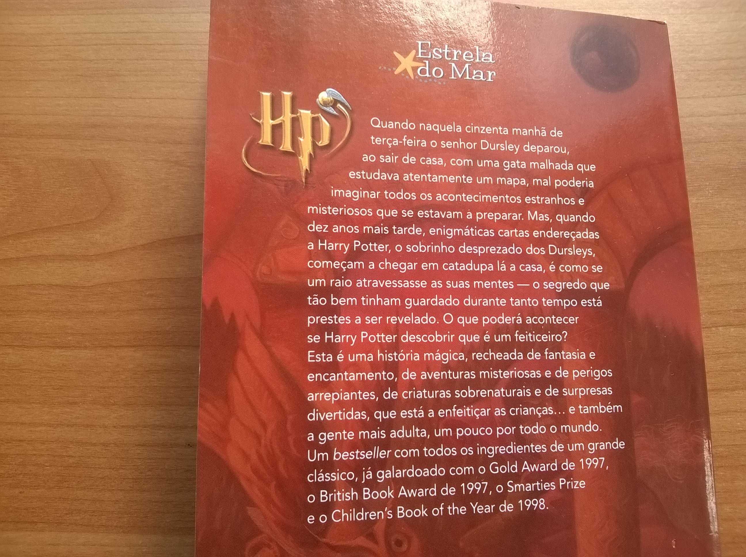 Harry Potter e a Pedra Filosofal - J. K. Rowling (portes grátis)