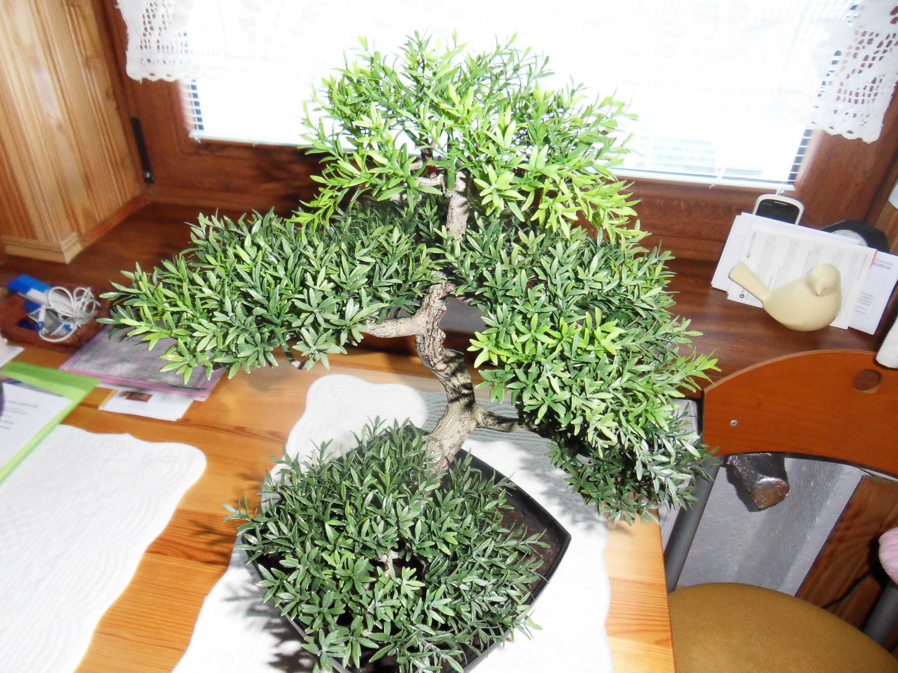 sztuczne drzewko bonsai