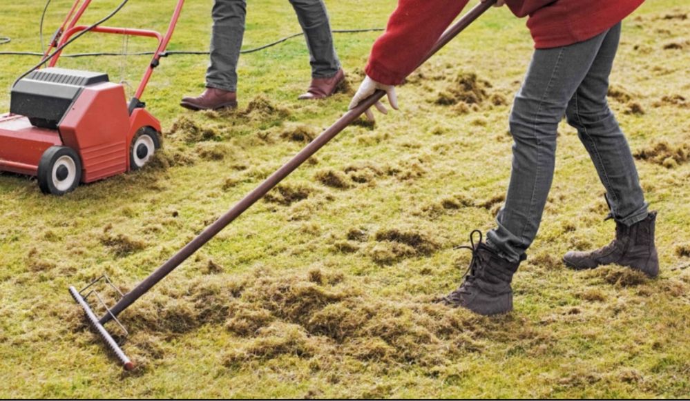 Wertykulacja zakładanie trawników koszenie trawy wycinka drzew