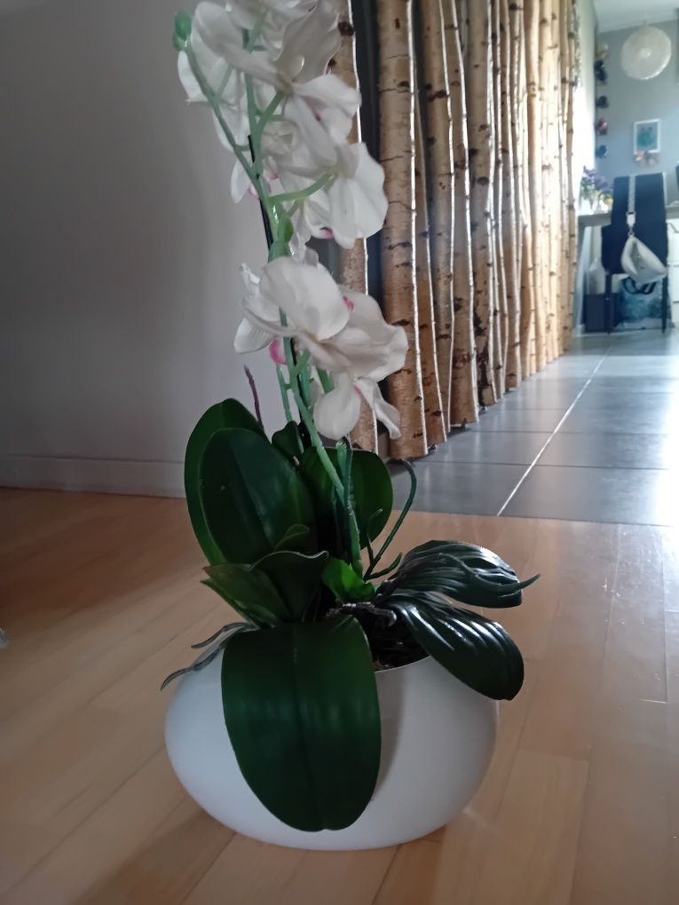 Orchidea storczyk doniczka porcelana